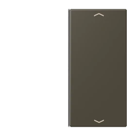 Jung Jung LC402TSAP241 Taste 2-fach Pfeil LC32140