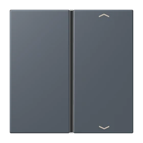 Jung Jung LC401TSAP262 Taste 1-fach Pfeil LC4320U