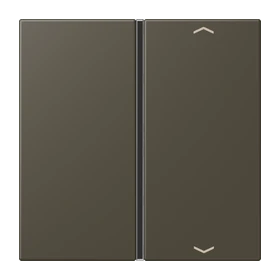 Jung Jung LC401TSAP241 Taste 1-fach Pfeil LC32140