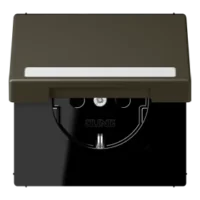 Jung LC1520BFNAKL241 SCHUKO-SteckdoseKI mit Klappdeckel mit S