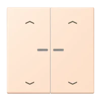 Jung LC102KO5P228 Wippe mit Lichtleiter und Pfeilsymbolen
