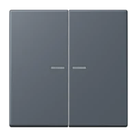 Jung LC102KO5262 Wippe mit Lichtleiter für KNX Taster 2fa
