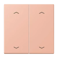 Jung LC102P231 Wippe mit Pfeilsymbolen für KNX Taster 2