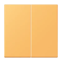 Jung LC102254 Wippe für KNX Taster 2-fach LC4320L