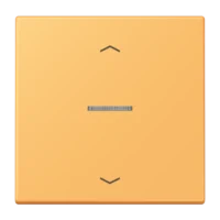 Jung LC101KO5P254 Wippe mit Lichtleiter und Pfeilsymbolen