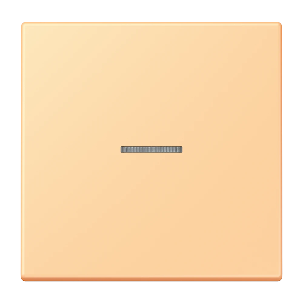 Jung Jung LC101KO5258 Wippe mit Lichtleiter für KNX Taster 1fa