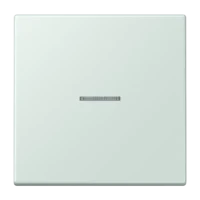 Jung LC101KO5215 Wippe mit Lichtleiter für KNX Taster 1fa