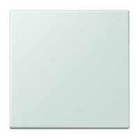Jung LC101215 Wippe für KNX Taster 1-fach LC32034