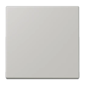Jung Jung LC101205 Wippe für KNX Taster 1-fach LC32013