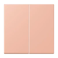 Jung LC1702231 Steuertaste 2-fach Standard LC32102