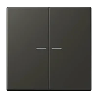 Jung LC995KO5259 Wippe für Serienschalter KO LC4320R