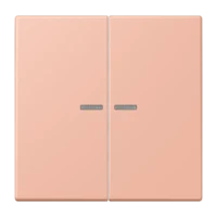 Jung LC995KO5231 Wippe für Serienschalter KO LC32102