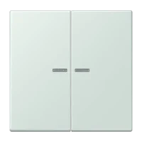 Jung LC995KO5215 Wippe für Serienschalter KO LC32034