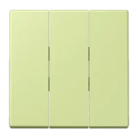 Jung LC993BF222 Wippe f.3-fach Schalter LC32053