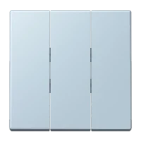 Jung LC993BF208 Wippe f.3-fach Schalter LC32022