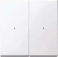 Merten Wippe aws/gl für Tastermodul 2 fach  619225