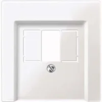 Merten Zentralplatte pws/gl für Anschlussdose 296019