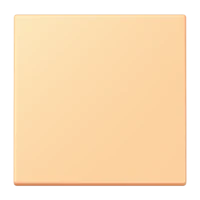 Jung LC1700258 Steuertaste Standard LC4320P
