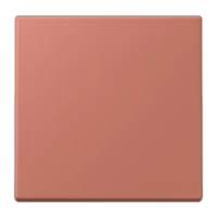 Jung LC1700236 Steuertaste Standard LC32121