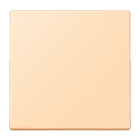 Jung LC1700223 Steuertaste Standard LC32060