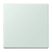 Jung LC1700215 Steuertaste Standard LC32034