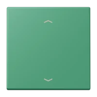 Jung LC1700P250 Steuertaste Standard -Pfeile LC4320G