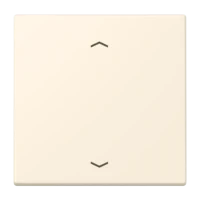 Jung LC1700P245 Steuertaste Standard -Pfeile LC4320B