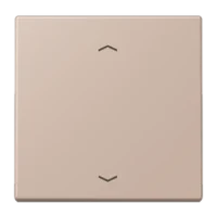 Jung LC1700P240 Steuertaste Standard -Pfeile LC32131