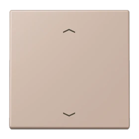 Jung Jung LC1700P240 Steuertaste Standard -Pfeile LC32131