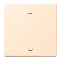 Jung LC1700P238 Steuertaste Standard -Pfeile LC32123