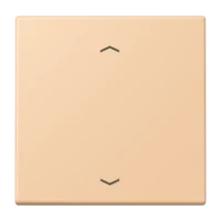 Jung LC1700P237 Steuertaste Standard -Pfeile LC32122
