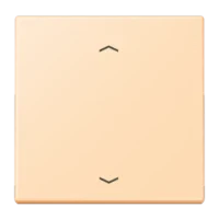 Jung LC1700P223 Steuertaste Standard -Pfeile LC32060