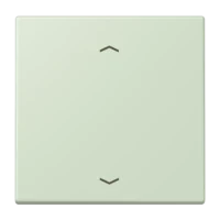 Jung LC1700P218 Steuertaste Standard -Pfeile LC32042