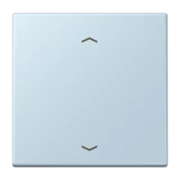 Jung LC1700P208 Steuertaste Standard -Pfeile LC32022