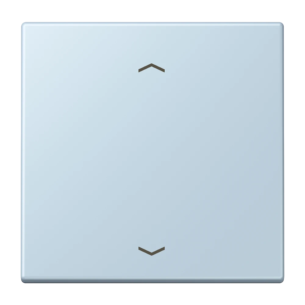 Jung Jung LC1700P208 Steuertaste Standard -Pfeile LC32022