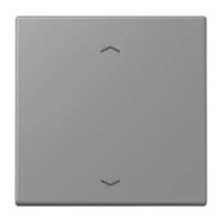 Jung LC1700P203 Steuertaste Standard -Pfeile LC32011