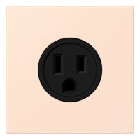 Jung LC521-15226 Steckdose US-Norm NEMA LC32082