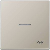 Jung ES2990KO5L Wippe Licht Lichtleiter LS Edelstahl
