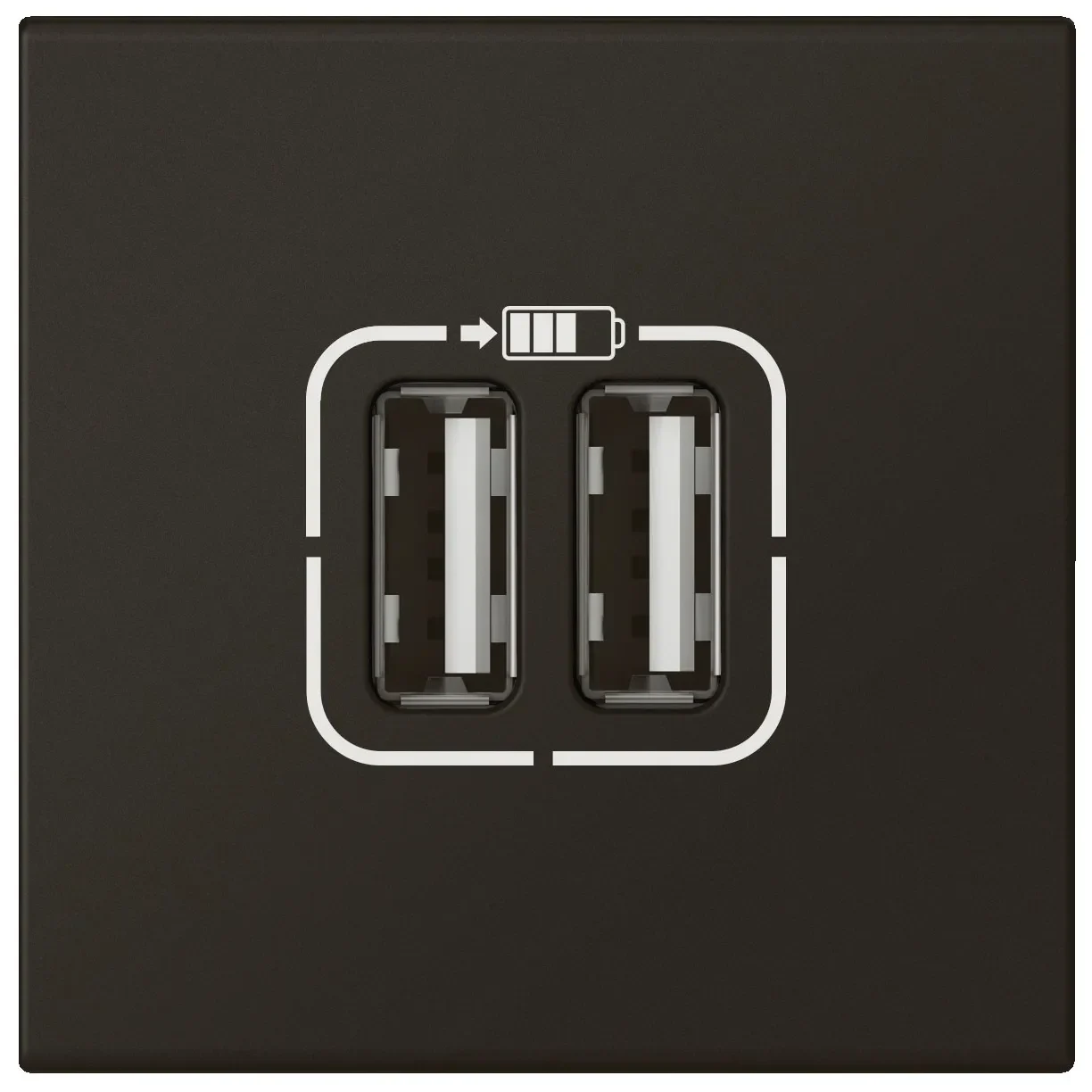 Legrand Legrand 079194L Ladesteckdose 2xUSB Typ A 2-modulig 2,4A 12W Mosaic schwarz