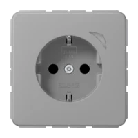 Jung BTCD1521SEGR JUNG HOME SCHUKO Steckdose Energy