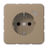 Jung BTCD1521SEGB JUNG HOME SCHUKO Steckdose Energy