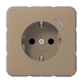 Jung Jung BTCD1521SEGB JUNG HOME SCHUKO Steckdose Energy