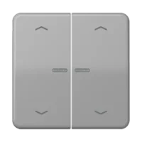 Jung BTCD17102PGR JUNG HOME Taster 2-fach mit Pfeilsymbolen