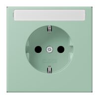Jung LC1520N217 SCHUKO Steckdose ohne Kralle LC32041