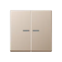 Jung BTA17102CH JUNG HOME Taster 2-fach