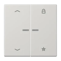 Jung FM LS 1701 P LG eNet Funk-Steuertaste Symbole Pfeile