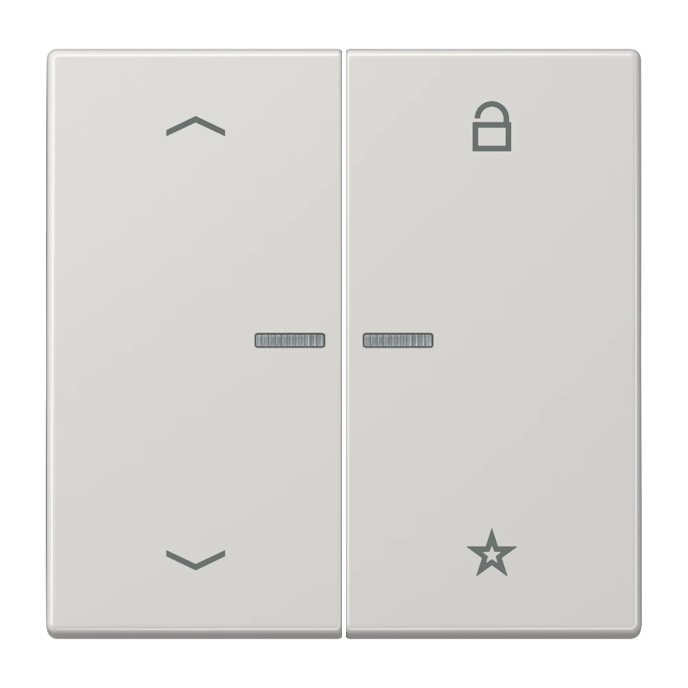 Jung Jung FM LS 1701 P LG eNet Funk-Steuertaste Symbole Pfeile