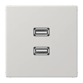 Jung Jung MALS1153LG Einsatz 2xUSB lichtgrau
