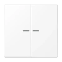 Jung KNX RF Taster 2-fach Duroplast lackiert LS 10921 ST RF WWM
