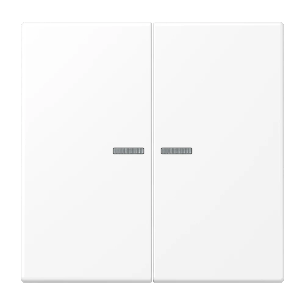 Jung Jung KNX RF Taster 2-fach Duroplast lackiert LS 10921 ST RF WWM